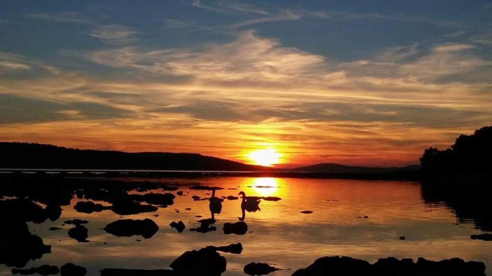 Apartman Dawidh Sibenik Luaran gambar